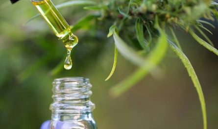 CBD Oil