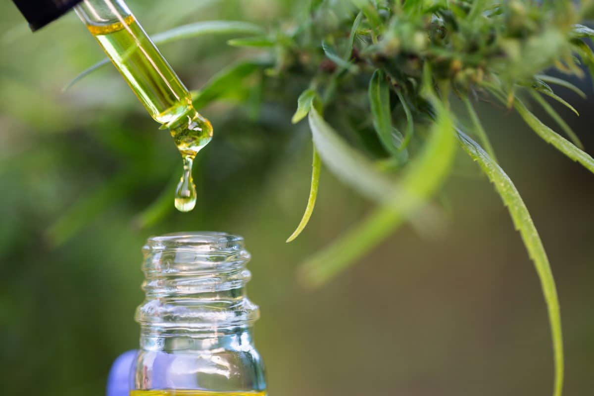 CBD Oil