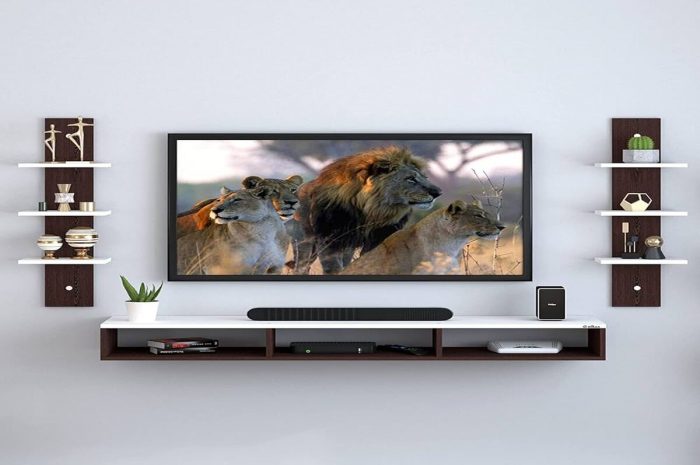 All You Want To Learn About The Best TV Wall Mounting
