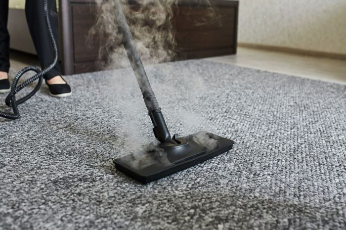 Carpet Steam Cleaning – An Overview